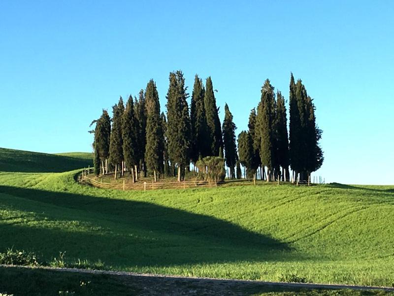 Apartmán Finestra Sulla Val D'Orcia San Quirico dʼOrcia Exteriér fotografie